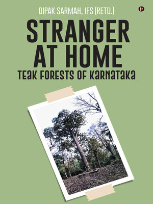 cover image of Stranger At Home